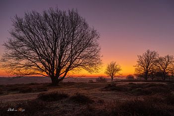 Soleil levant sur la Posbank.