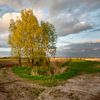 Brabantse Landschappen von Edwin Wiekens