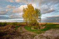 Brabantse Landschappen