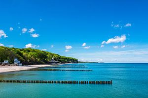 Buhnen an der Küste der Ostsee in Heiligendamm