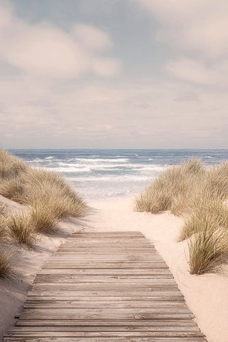 Einsamer Dünenweg zum Meer von Melanie Viola