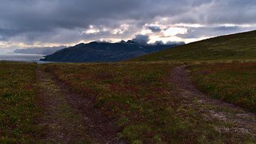 Sentiers de randonnée sur une prairie de Ballstadheia, en Norvège, avec la côte des Lofoten en arriè sur Timon Schneider