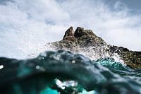 THE TIDE