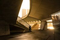 Under the Erasmus bridge in the early morning
