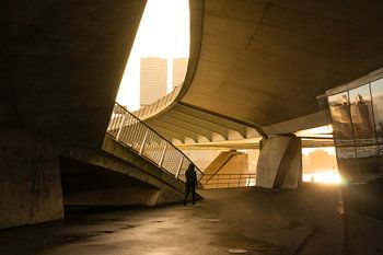 Am frühen Morgen unter der Erasmus-Brücke
