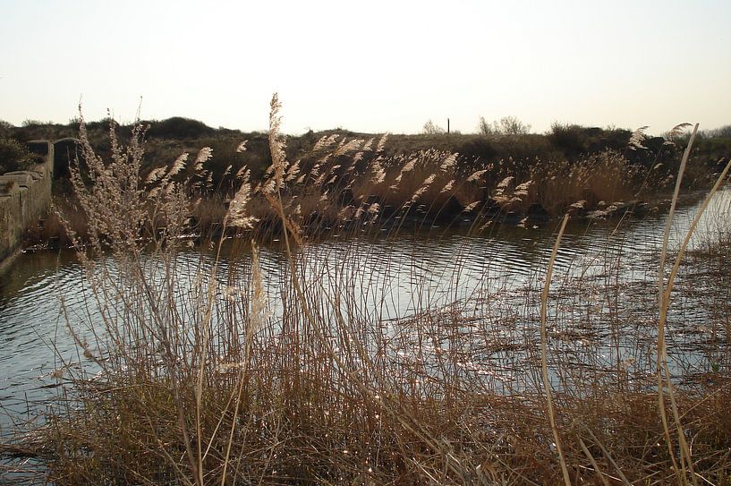 Landscape - The Netherlands 1 von Lyn Van Veldhoven