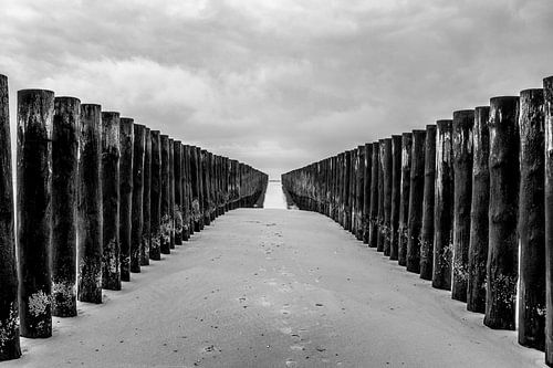 Western fireplaces - 3