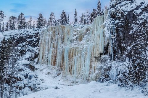 Frozen