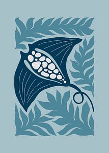 Manta Ray