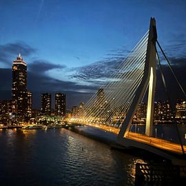 Erasmus Bridge in evening light