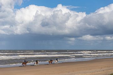 Paardrijden op het strand van Noordwijk van Yanuschka Fotografie | Noordwijk