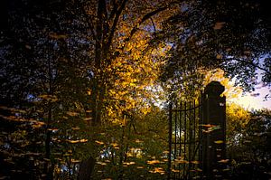 herfst reflecties van Huibert van der Meer