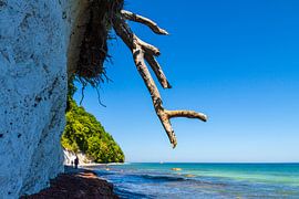 Kreidefelsen an der Ostseeküste auf der Insel Rügen von Rico Ködder