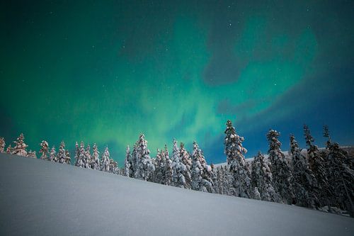 Landscape of Northern Lights in Finland