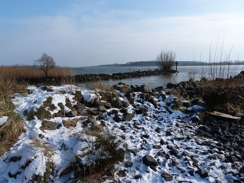 Het Water by Ronald Wakker