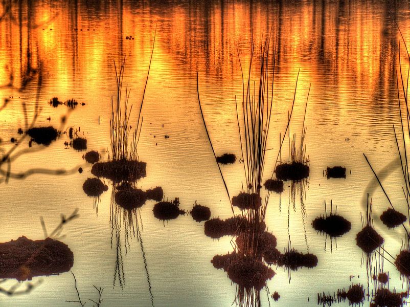 Les roseaux au coucher du soleil par Edgar Schermaul