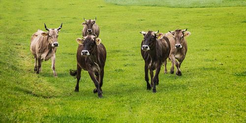 Klantenonderzoek 01-03