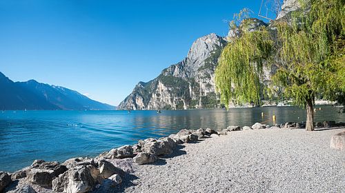 zwemstrand Riva del Garda, met wilgenboom, italy