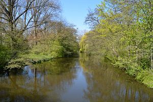 Blick von einer Brücke im Park