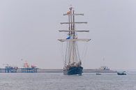 Zeilschip Stad Amsterdam par Brian Morgan Aperçu