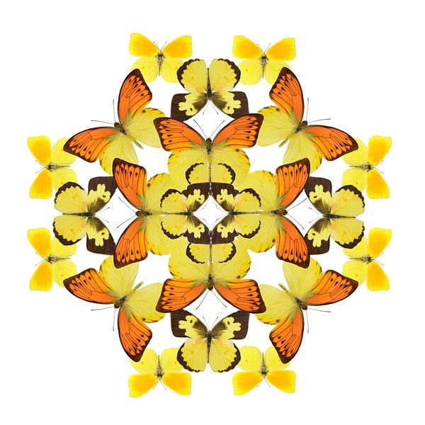 Schmetterling-Muster von Elles Rijsdijk