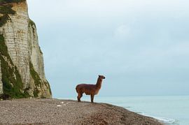 Wachten van Hannie Kassenaar