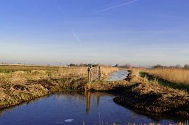 Winter by Robert Lotman