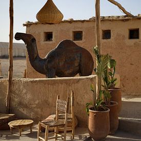 Chameau en fer dans le désert d'Agafay au Maroc sur FemmDesign