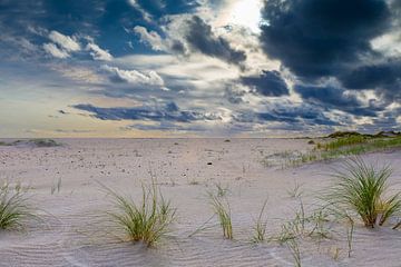 Strand Texel De Hors mit imposanten Wolken. von Tjeerd Knier
