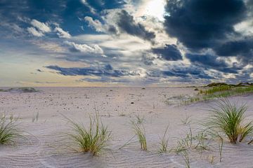 Strand Texel De Hors met imponerende wolken.