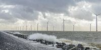 Offshore windpark met windmolens in het IJsselmeer van Sjoerd van der Wal Fotografie thumbnail