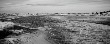 Terschelling, ons Nederlandse paradijs van Annette van Dijk-Leek