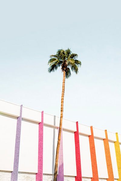Palm Spring Colors 2 by Kathrin Pienaar