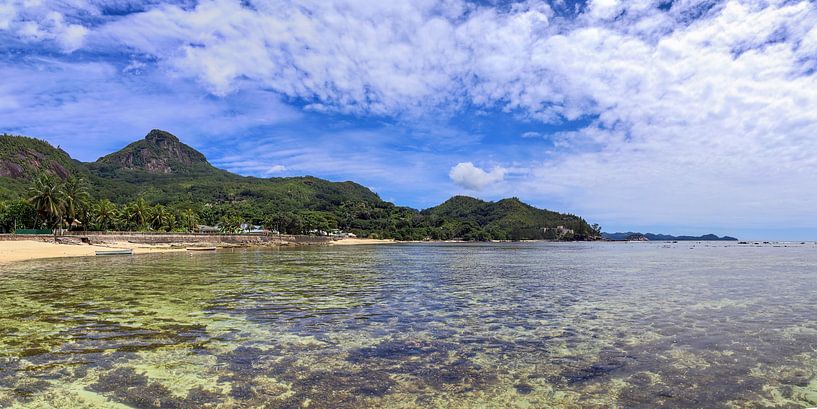 Traumhafter Strand mit Palme auf den Seychellen von MPfoto71