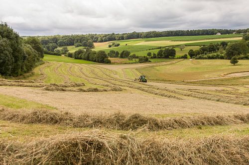 Boeren bezig met het drogen van hooi