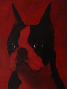 One Dog Red