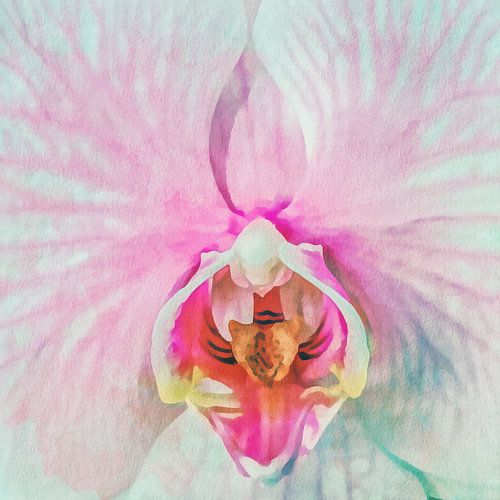 Orchidee van Johan Zuijdam Digi Art