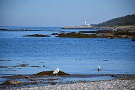 Der Fluss Sint-Laurens im Sommer von Claude Laprise
