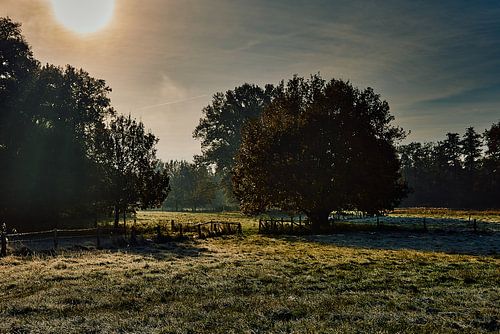 In het natuurreservaat Bünder