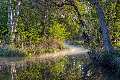Een landschap van de riveri de Reest in het Reestdal,