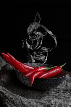Pikante elegantie van Nicole Schmidt
