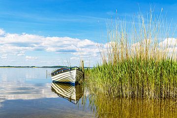 Vissersboot op het Achterwasser bij Warthe op het eiland Usedom van Rico Ködder
