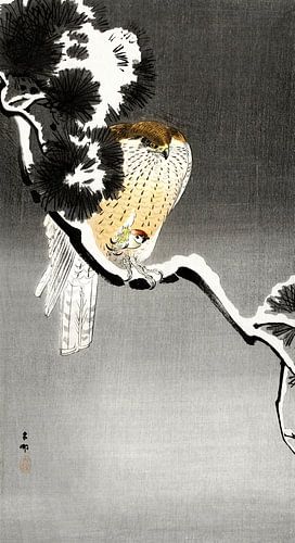 Ohara Koson – Havik met mus (1900–1930) | Antieke Japanse houtsnede