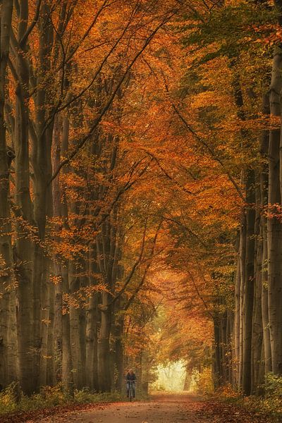Cycling at Marienwaerdt Estate by Moetwil en van Dijk - Fotografie