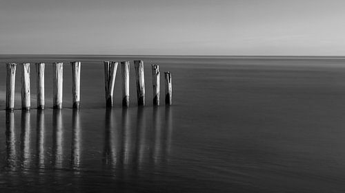 Breakwater in black and white, Ameland, Netherlands