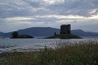 Castle Stalker ist ein Turmhaus etwa 2,5 Kilometer nordöstlich von Port Appin von Babetts Bildergalerie Miniaturansicht