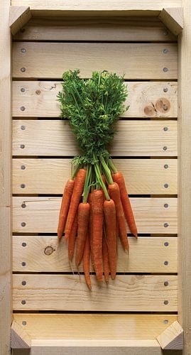 Wortelin Veilingkrat