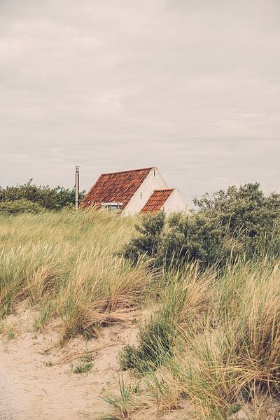 House in the Dunes by Patrycja Polechonska