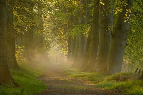Courtyard at sunrise