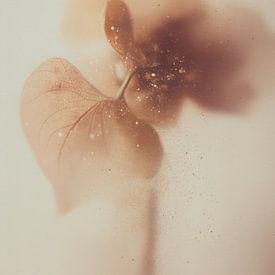 Stof van de dageraad van Cats & Dotz